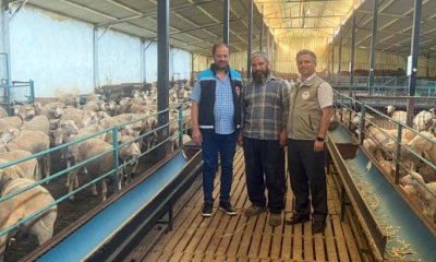 KURBAN BAYRAMI ÖNCESİ SIKI DENETİM